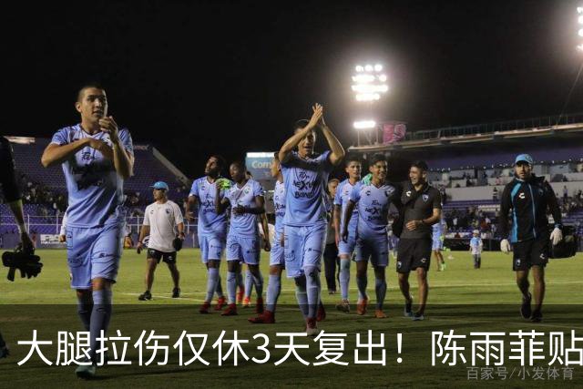 大腿拉伤仅休3天复出！陈雨菲贴满肌贴鏖战 2-1逆转后吐露心声